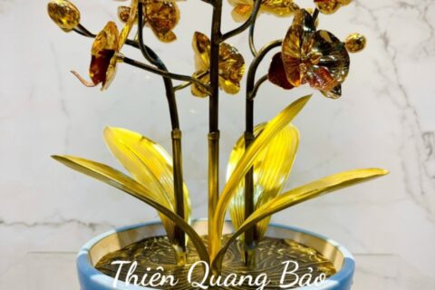 Chậu hoa lan kích thước 23 x 32 cm